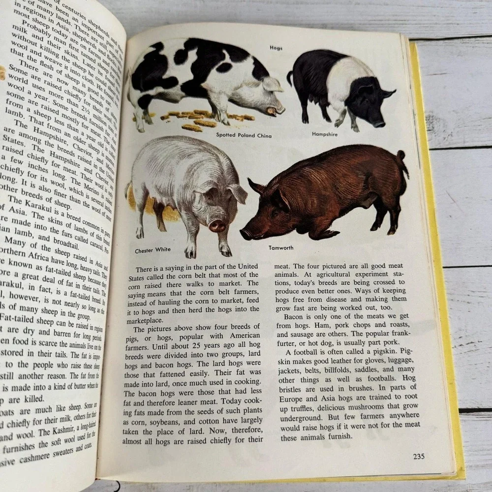 New Golden Treasury of Natural History Parker 1968 1st Print Golden Press